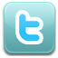 Seguimi su twitter